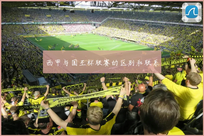 西甲与国王杯联赛的区别和联系