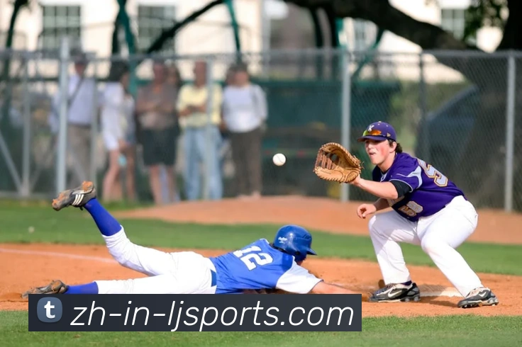 乐竞体育平台生态图