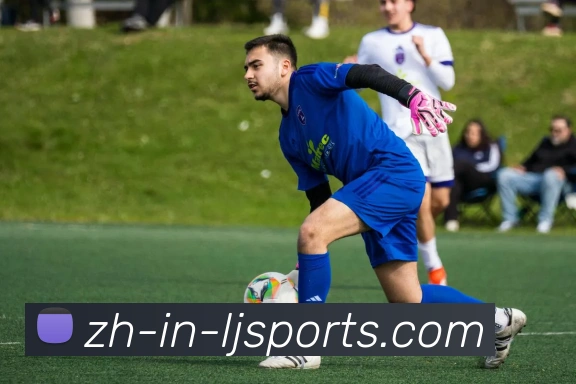 辅助工具 辅助工具